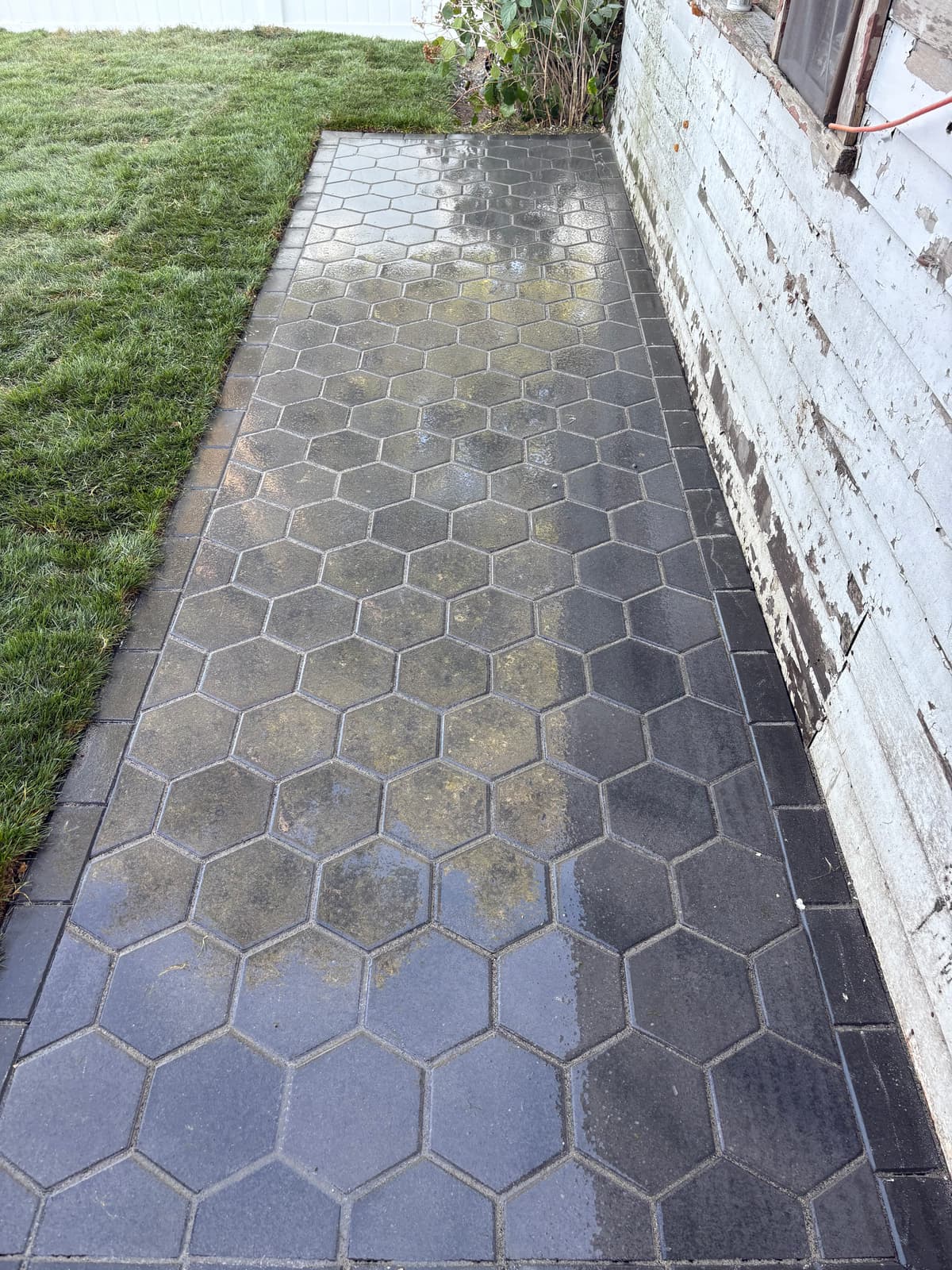 Hex Paver Walkway — Aurora, IL